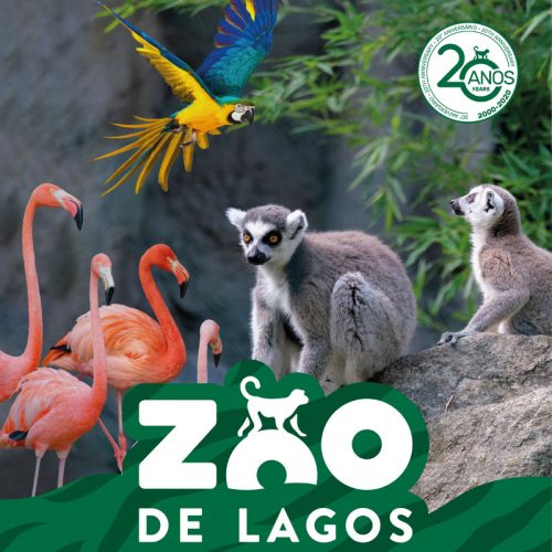 Zoo Lagos