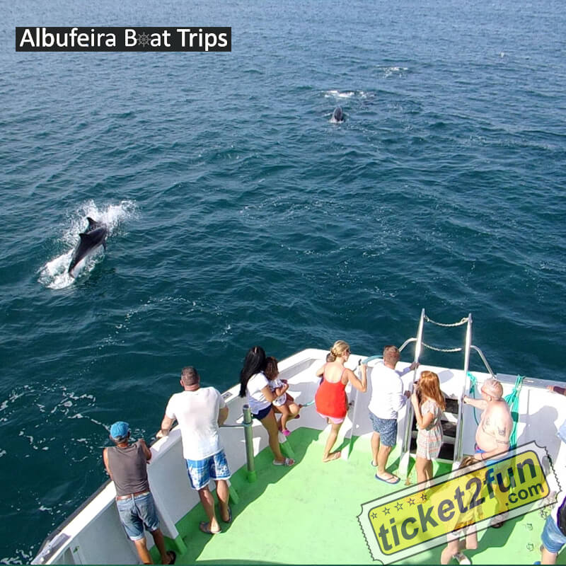 algarveseafarisalbufeira10