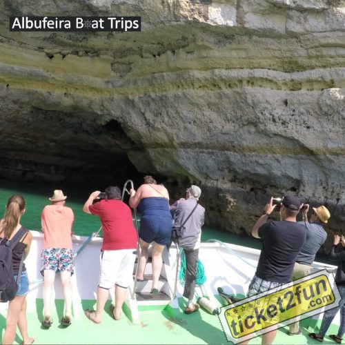 Algarve Seafaris Albufeira