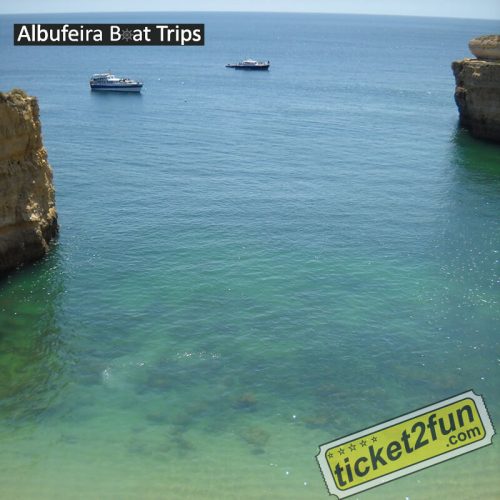 Algarve Seafaris Albufeira