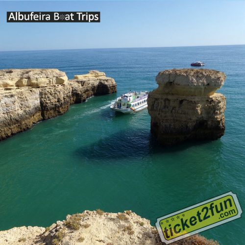Algarve Seafaris Albufeira